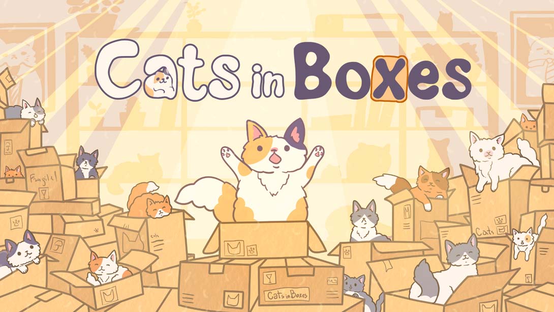 盒中猫 .Cats in Boxes