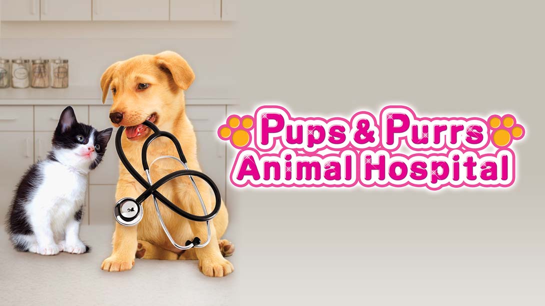 动物医院 Animal Hospital