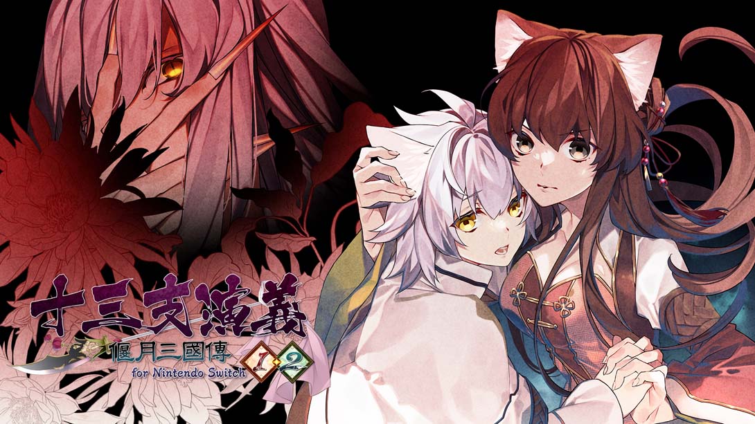 十三支演义 偃月三国传 1・2 for Nintendo Switch