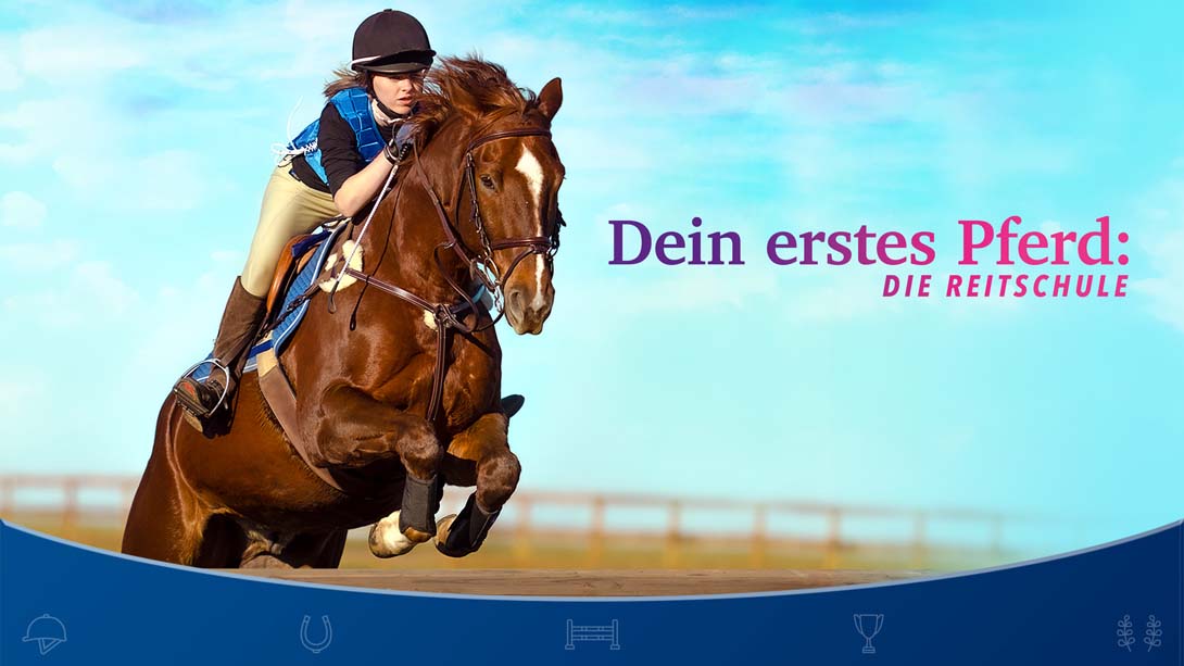 Dein erstes Pferd: DIE REITSCHULE