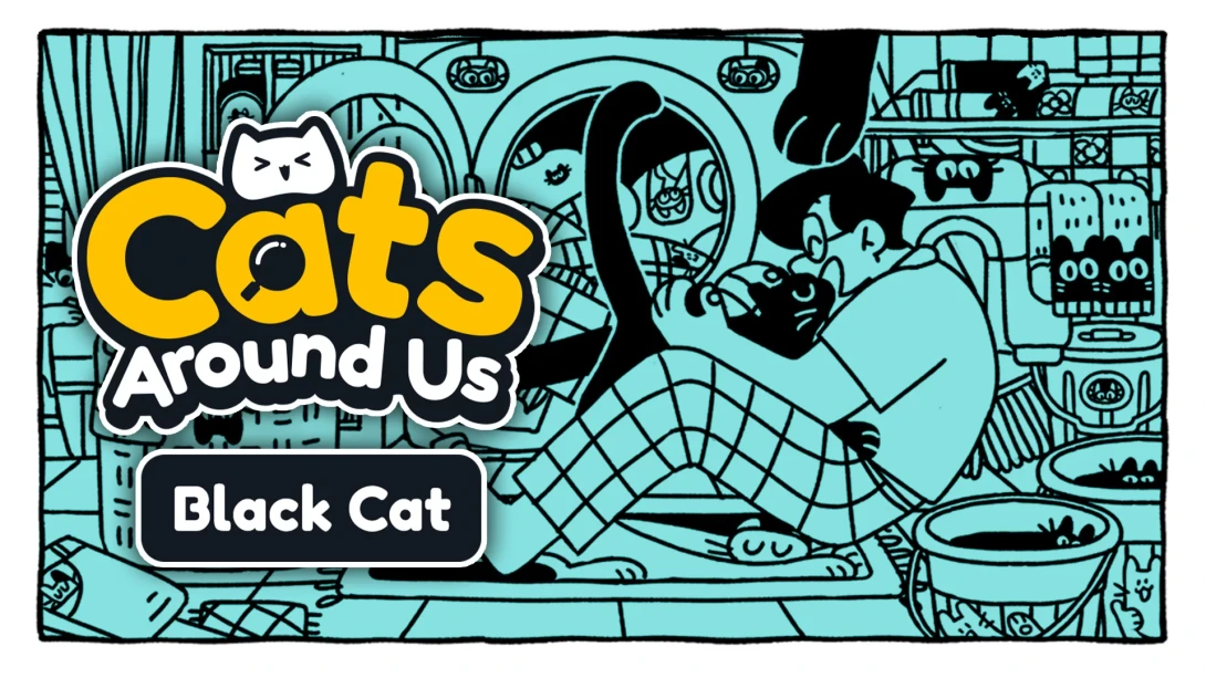我们身边的猫：黑猫 Cats Around Us: Black Cat