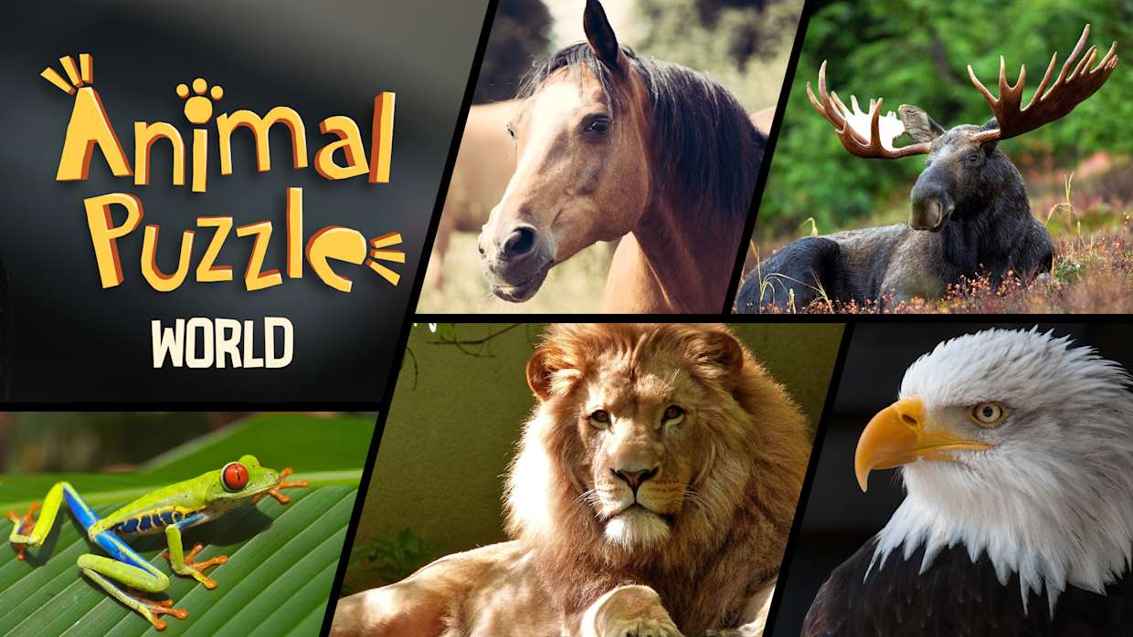 动物谜题世界|动物拼图世界|Animal Puzzle World中文