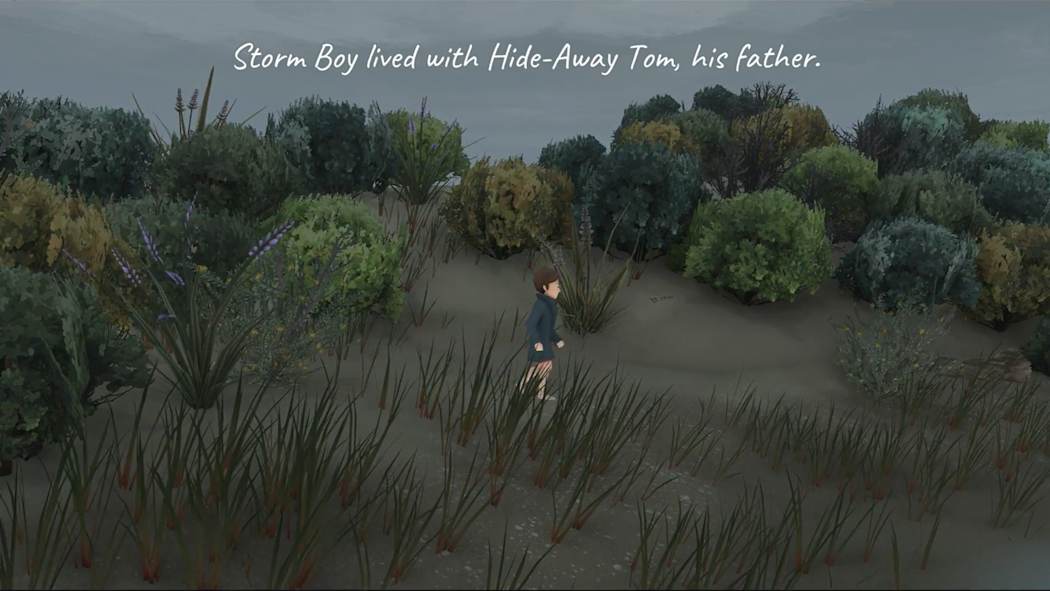 Storm Boy 3