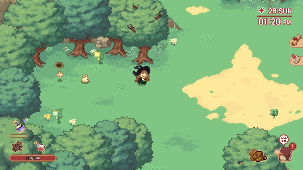 Little Witch in the Woods 3