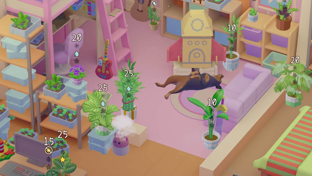 Urban Jungle 6